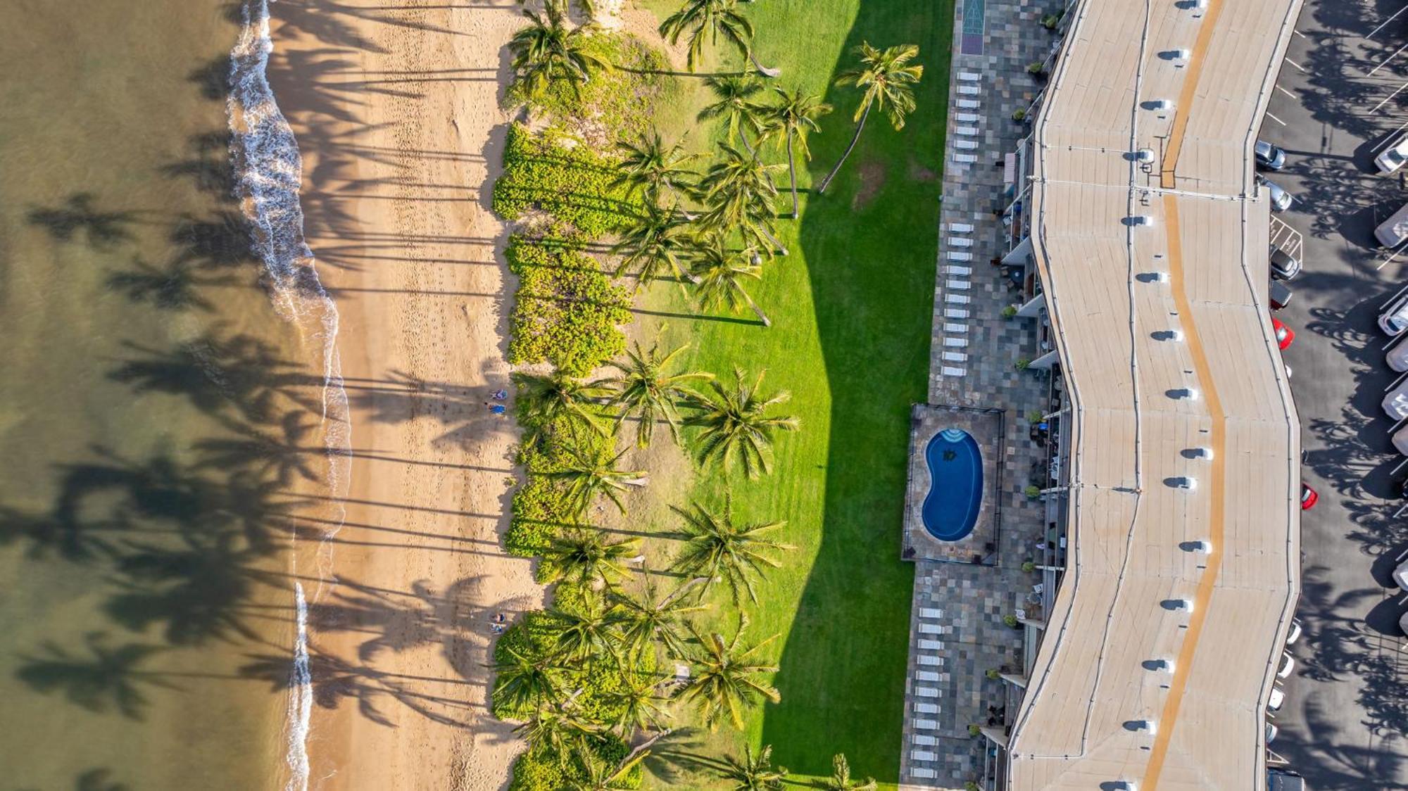 Hale Kai O'Kihei 317アパートメント エクステリア 写真