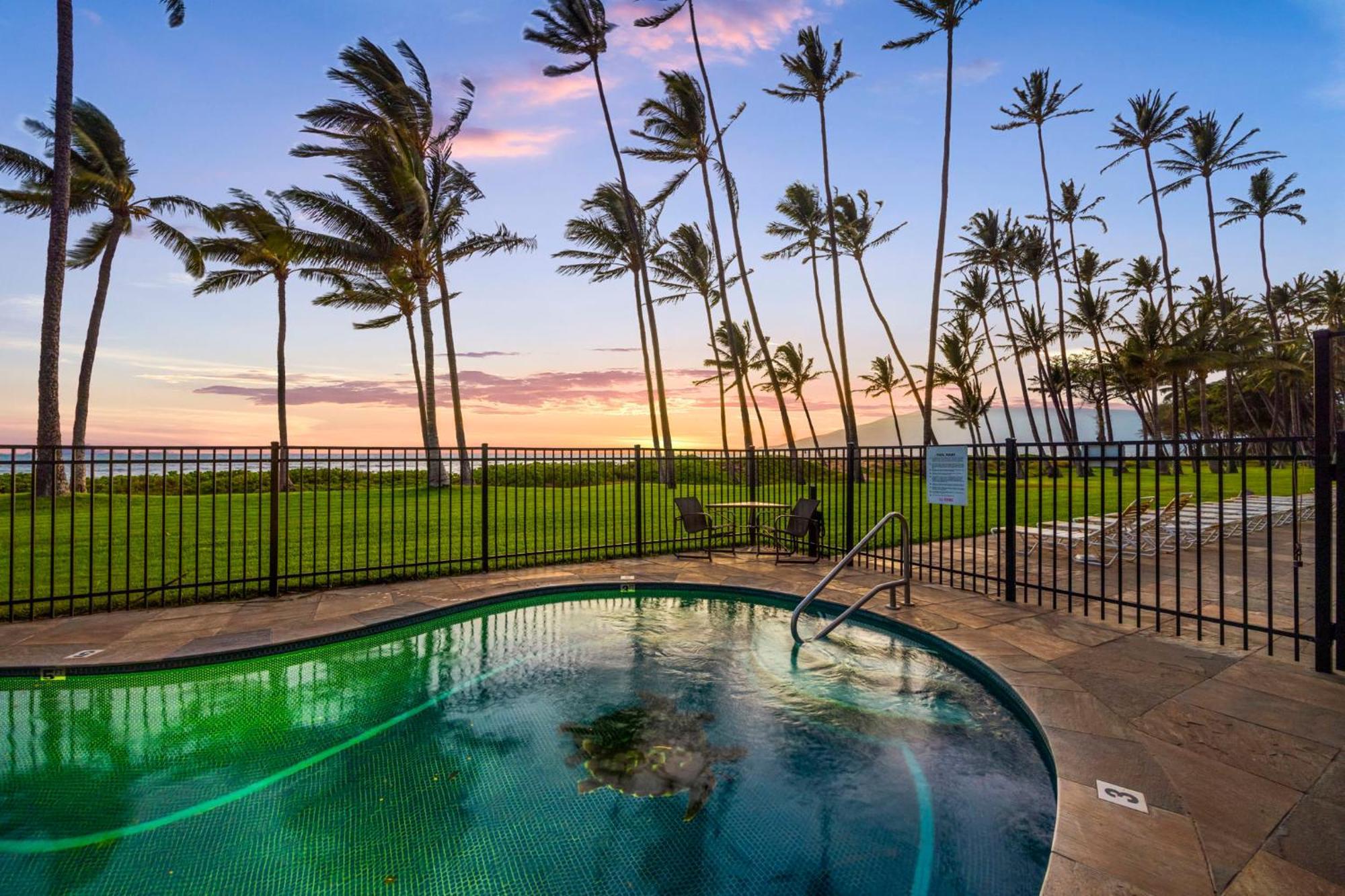 Hale Kai O'Kihei 317アパートメント エクステリア 写真
