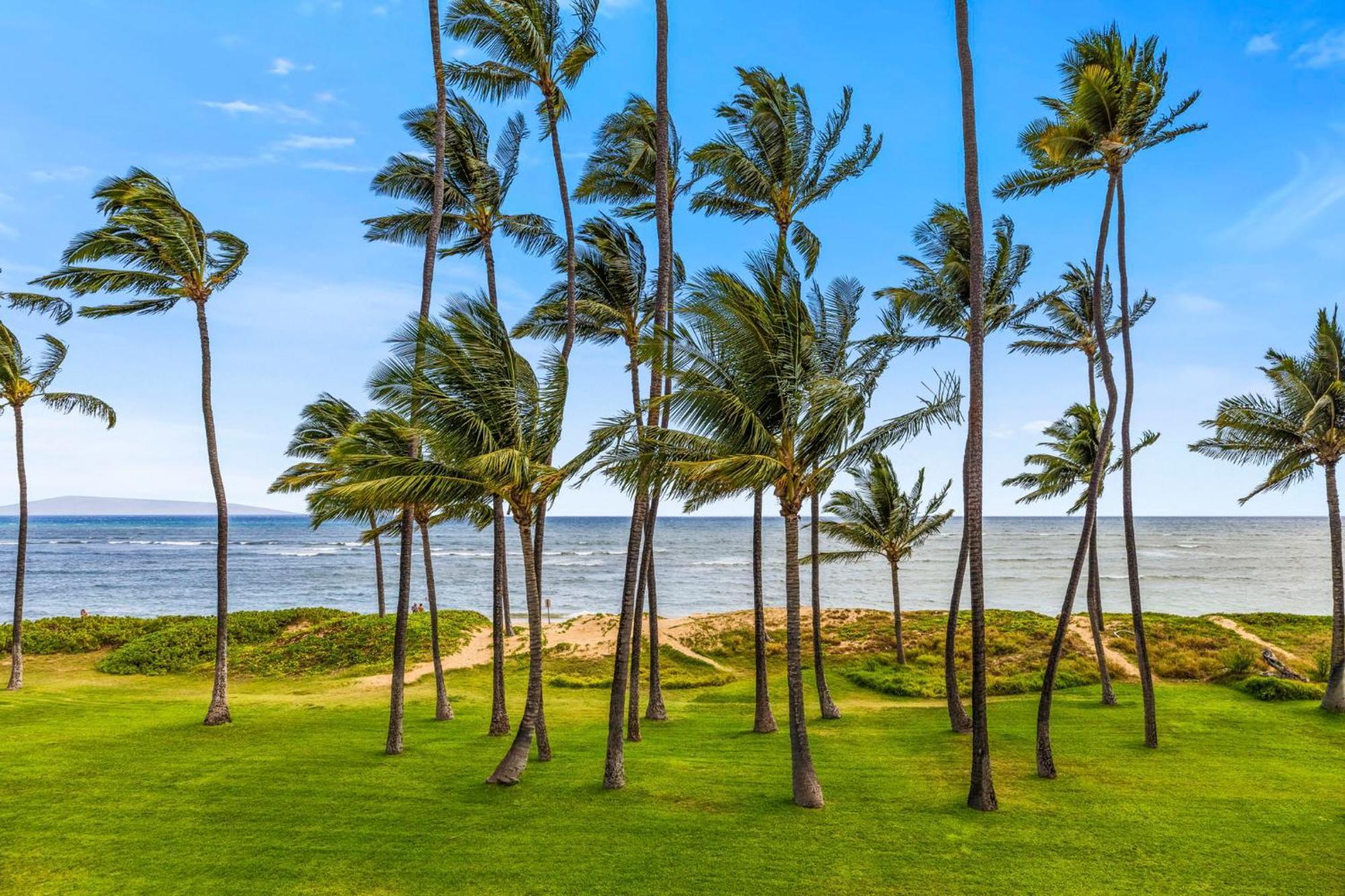 Hale Kai O'Kihei 317アパートメント エクステリア 写真