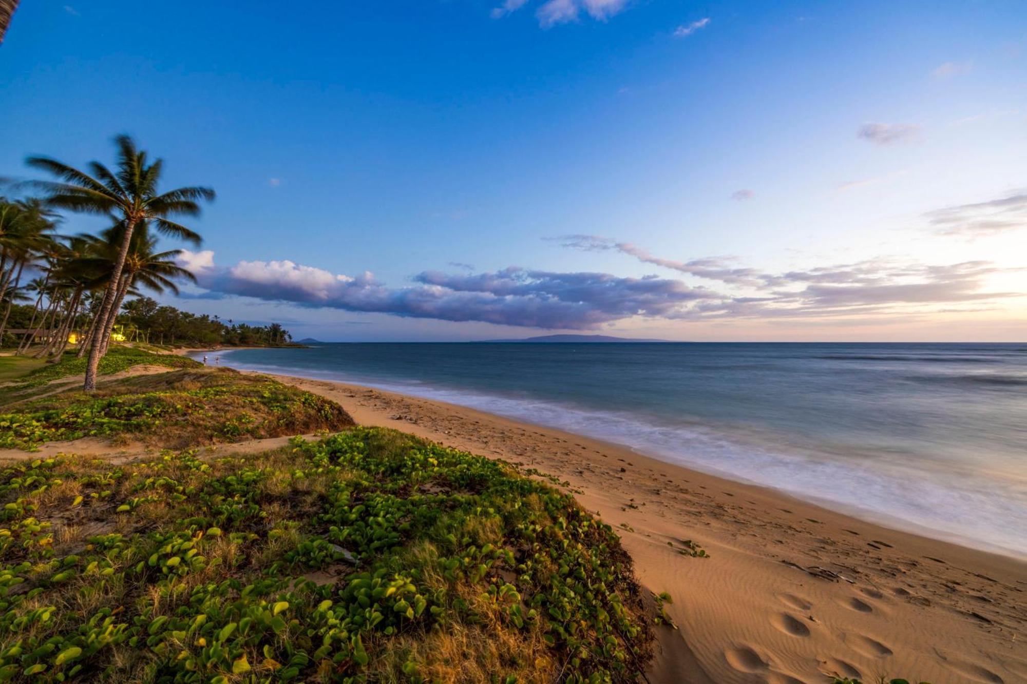 Hale Kai O'Kihei 317アパートメント エクステリア 写真