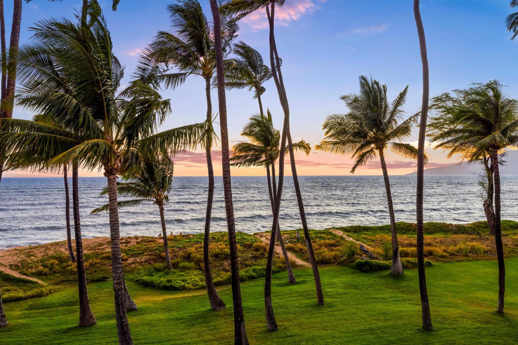 Hale Kai O'Kihei 317アパートメント エクステリア 写真