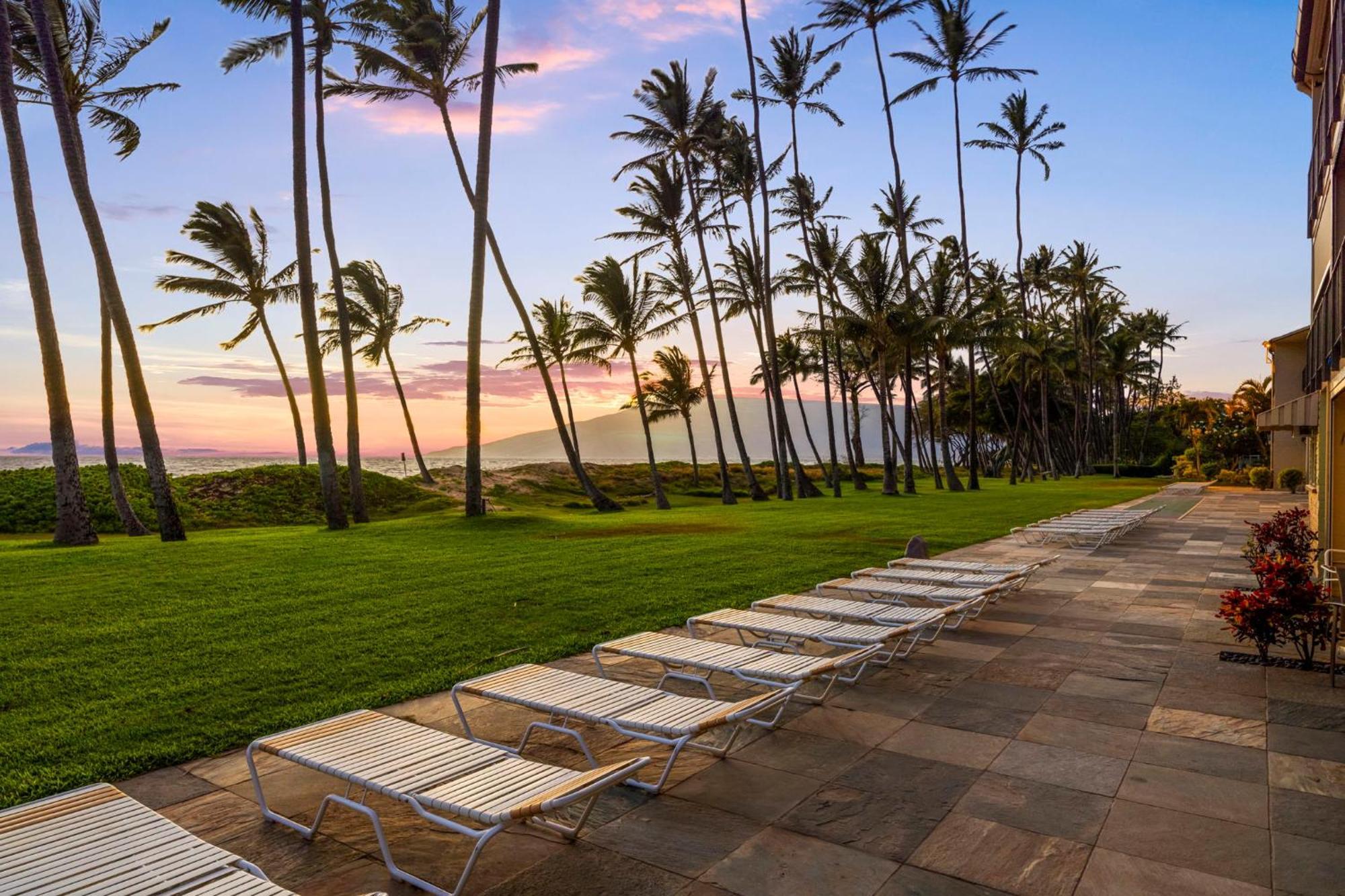 Hale Kai O'Kihei 317アパートメント エクステリア 写真